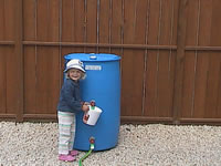 WATER HARVESTING RAINBARREL WITH SINGLE OR DOUBLE TAP